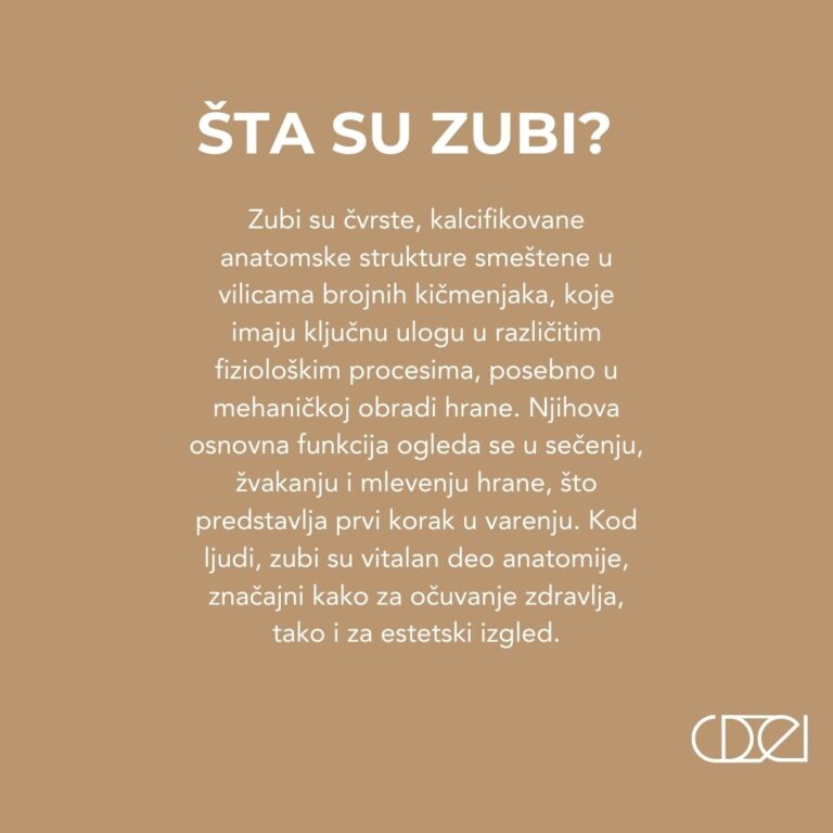 Građa zuba, funkcije zuba i osnovne vrste zuba u vilici